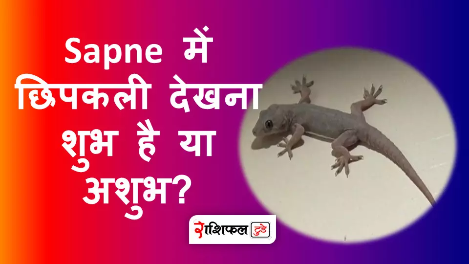 sapne me chipkali dekhna