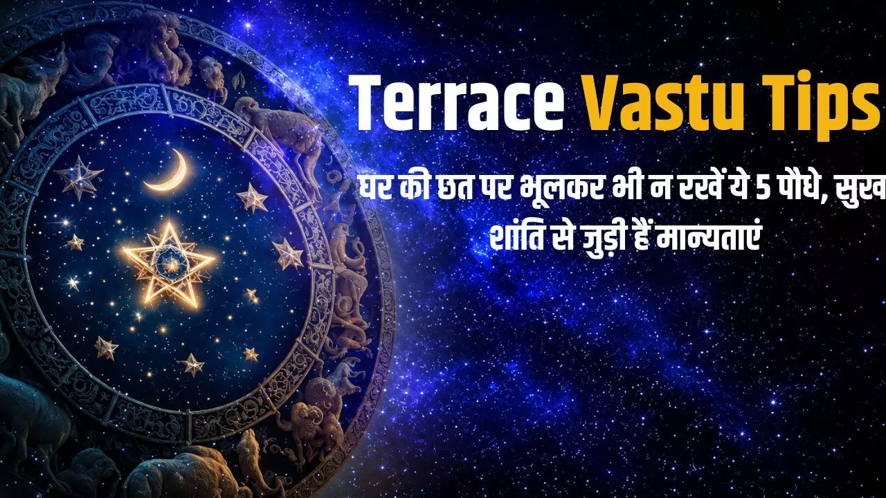 Terrace Vastu Tips: घर की छत पर भूलकर भी न रखें ये 5 पौधे, सुख-शांति से जुड़ी हैं मान्यताएं Terrace Vastu Tips: घर की छत पर भूलकर भी न रखें ये 5 पौधे, सुख-शांति से जुड़ी हैं मान्यताएं